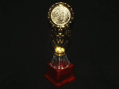 Кубок наградной Высота 23,5см, металл/пластик (Мод.НВ7003)